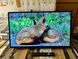Телевізор STRONG SRT32HC5433 32 Inch (80 cm) Android HD LED Smart TV with Triple Tuner (HDTV, Netflix, Google Voice Control, HDMI, USB, EPG, CI+, Hotel Mode, DVB-T/T2/C/S2, Refurbished W24-EF5155 фото 3