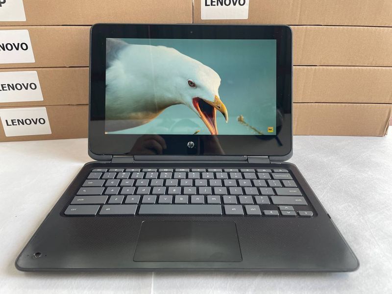 Нетбук HP ChromeBook x360 11 G1, Intel Celeron N3450, 4 GB, 32 GB, Intel HD Graphics 500, 1518x853, IPS / Touch 2661 фото